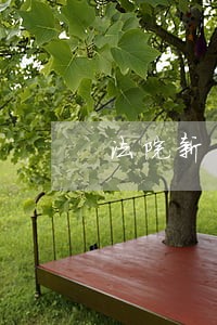 法院新干警座谈会讲话 法院新干警座谈会讲话