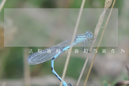 法院新时代新担当新作为讲话 法院新时代新担当新作为讲话