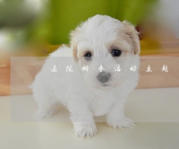 法院新春活动主题 法院新春活动主题