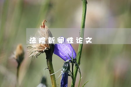 法院新闻性论文