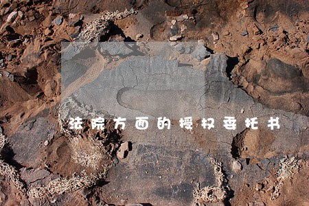 法院方面的授权委托书 法院方面的授权委托书