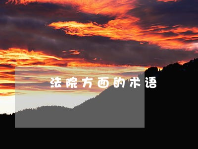 法院方面的术语 法院方面的术语