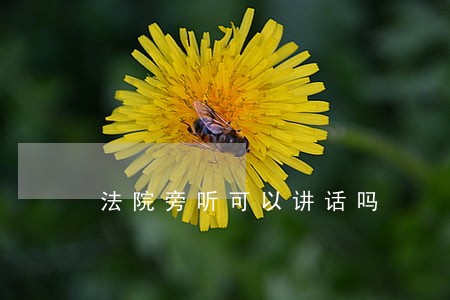 法院旁听可以讲话吗 法院旁听可以讲话吗