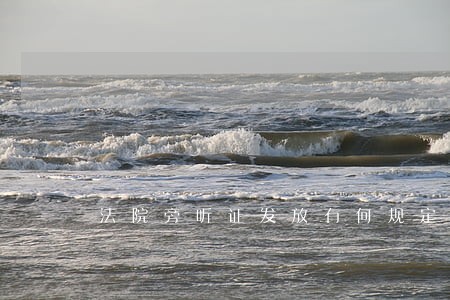法院旁听证发放有何规定 法院旁听证发放有何规定