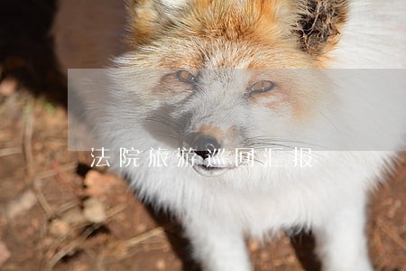 法院旅游巡回汇报 法院旅游巡回汇报