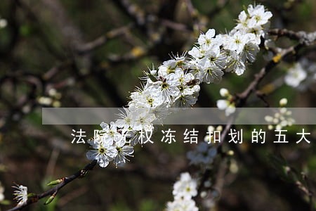 法院无权冻结扣划的五大类 法院无权冻结扣划的五大类