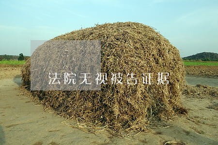 法院无视被告证据 法院无视被告证据