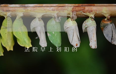 法院早上划扣的 法院早上划扣的