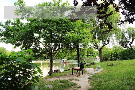 法院明日将宣判佘祥林无罪 法院明日将宣判佘祥林无罪