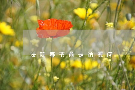 法院春节前走访慰问 法院春节前走访慰问