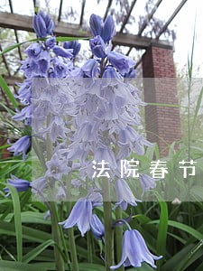 法院春节慰问座谈会感谢发言 法院春节慰问座谈会感谢发言