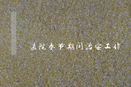 法院春节期间治安工作 法院春节期间治安工作