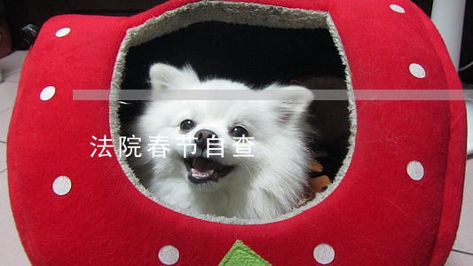 法院春节自查 法院春节自查