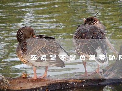 法院是不是也跟劳动仲裁一样 法院是不是也跟劳动仲裁一样