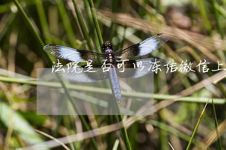 法院是否可以冻结微信上的钱