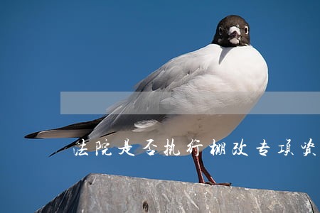 法院是否执行棚改专项资金 法院是否执行棚改专项资金