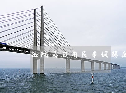 法院是否有民事调解庭
