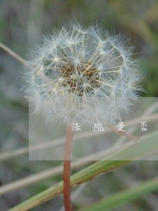 法院是否能提供刑事案件无偿代理 法院是否能提供刑事案件无偿代理