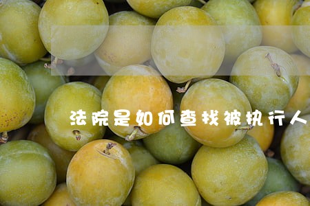 法院是如何查找被执行人保险的 法院是如何查找被执行人保险的