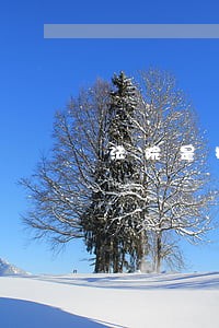 法院是按老 法院是按老