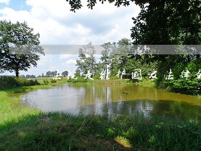 法院是维护国家法律的最后