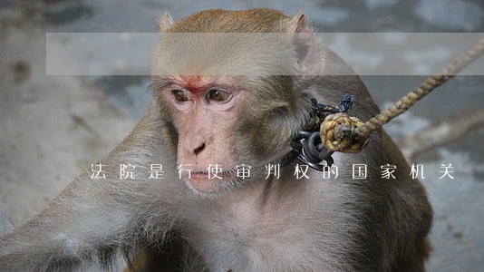法院是行使审判权的国家机关