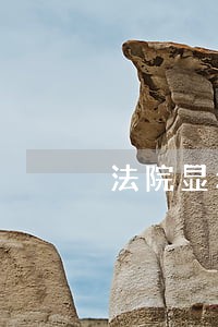 法院显示已执行到位标的是什么 法院显示已执行到位标的是什么
