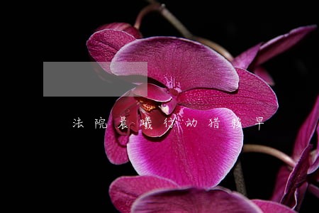 法院晨曦行动猎赖早 法院晨曦行动猎赖早