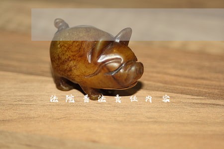 法院普法责任内容 法院普法责任内容