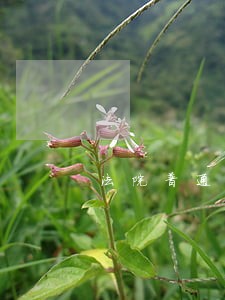 法院普通科员待遇 法院普通科员待遇