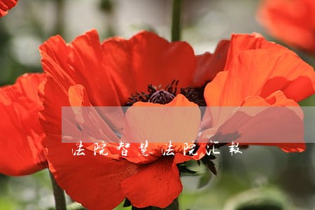 法院智慧法院汇报