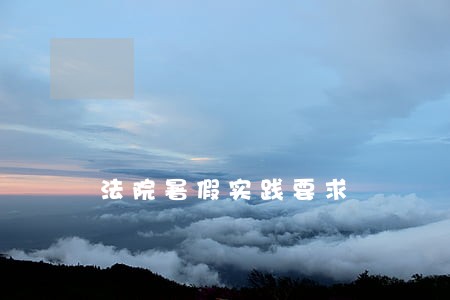 法院暑假实践要求 法院暑假实践要求