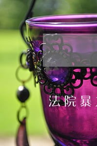 法院暴力突发事件应急预案 法院暴力突发事件应急预案