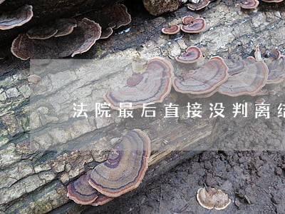 法院最后直接没判离结案 法院最后直接没判离结案