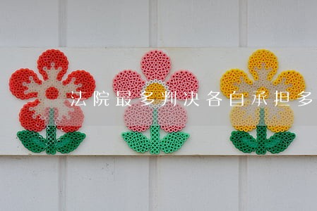 法院最多判决各自承担多少责任 法院最多判决各自承担多少责任