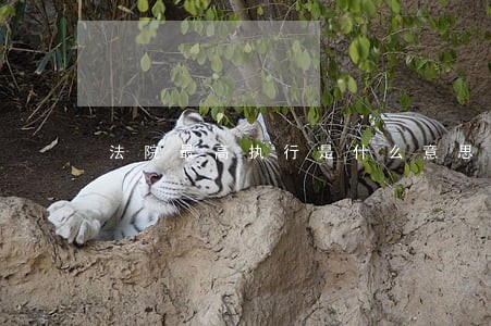 法院最高执行是什么意思 法院最高执行是什么意思
