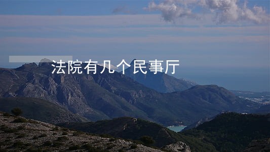 法院有几个民事厅 法院有几个民事厅