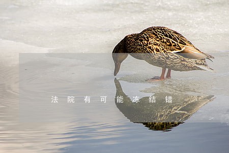 法院有可能冻结错 法院有可能冻结错