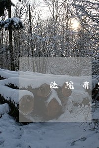 法院有官司的能来澳门吗