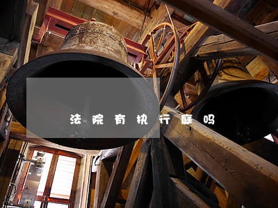 法院有执行庭吗 法院有执行庭吗
