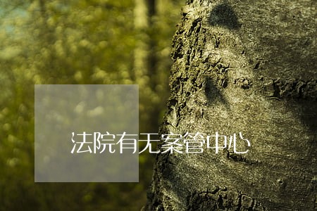 法院有无案管中心