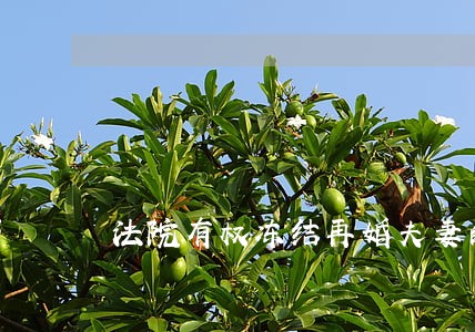 法院有权冻结再婚夫妻的账户吗