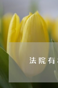 法院有权冻结国债吗 法院有权冻结国债吗