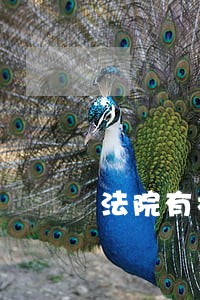 法院有权冻结存款 法院有权冻结存款