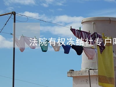 法院有权冻结社专户吗 法院有权冻结社专户吗
