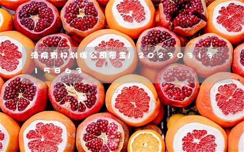 法院有权划拨公司资金/2023031315863 法院有权划拨公司资金/2023031315863