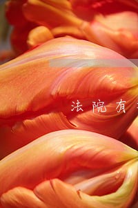 法院有权打印个人银行流水吗 法院有权打印个人银行流水吗