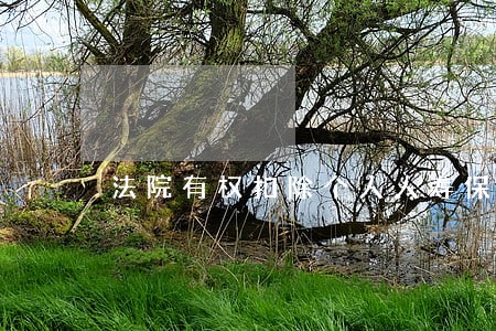 法院有权扣除个人人寿保险吗 法院有权扣除个人人寿保险吗