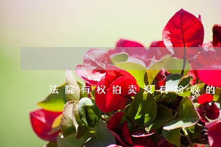 法院有权拍卖没有验收的房产吗 法院有权拍卖没有验收的房产吗