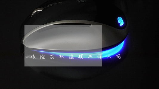 法院有权逮捕担保人吗 法院有权逮捕担保人吗